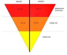 Metaboolne sündroom